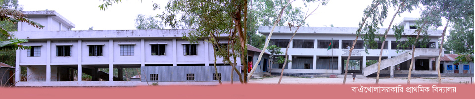 বাঐখোলা সরকারি প্রাথমিক বিদ্যালয়